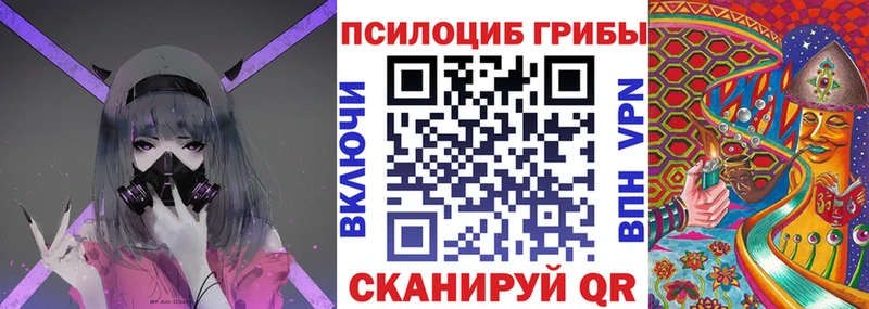 Галлюциногенные грибы Magic Shrooms  Купить  Юрьев-Польский 